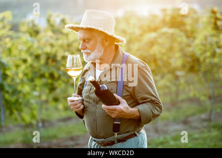 Portrait eines älteren gut gekleideten Winzer Kontrolle der Wein Qualität im Weinberg bei einem Sonnenuntergang. Konzept der Weinbereitung im Alter Stockfoto