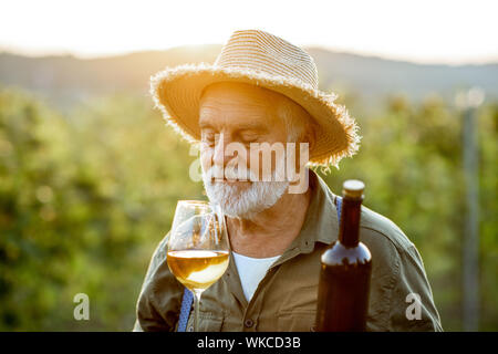 Portrait eines älteren gut gekleideten Winzer Kontrolle der Wein Qualität im Weinberg bei einem Sonnenuntergang. Konzept der Weinbereitung im Alter Stockfoto