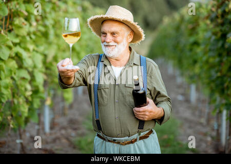 Portrait eines älteren gut gekleideten Winzer Wein Qualität prüfen, stehend mit Wein Glas und Flasche auf dem Weinberg Stockfoto