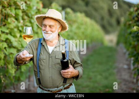 Portrait eines älteren gut gekleideten Winzer Wein Qualität prüfen, stehend mit Wein Glas und Flasche auf dem Weinberg Stockfoto