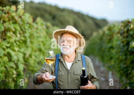 Portrait eines älteren gut gekleideten Winzer Wein Qualität prüfen, stehend mit Wein Glas und Flasche auf dem Weinberg Stockfoto