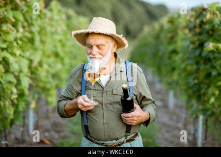 Portrait eines älteren gut gekleideten Winzer Wein Qualität prüfen, stehend mit Wein Glas und Flasche auf dem Weinberg Stockfoto