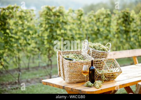 Wein auf dem Tisch mit Körben voller frisch abgeholt Trauben im Weinberg Stockfoto