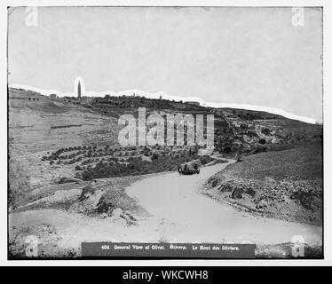 Jerusalem (El-Kouds). Ölberg aus dem Nordwesten Stockfoto