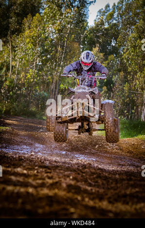 Quad Fahrer springen auf einem Waldweg. Stockfoto