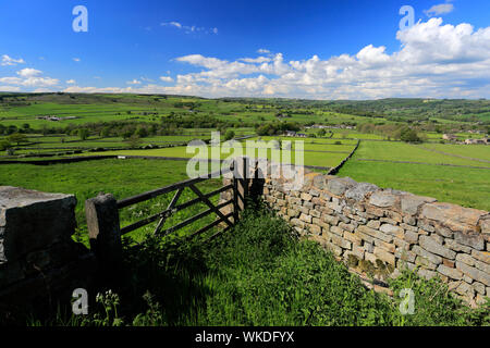 Blick über den Fluss Nidd Tal in der Nähe von Summerbridge Dorf, Nidderdale, Harrogate, North Yorkshire, England. Stockfoto