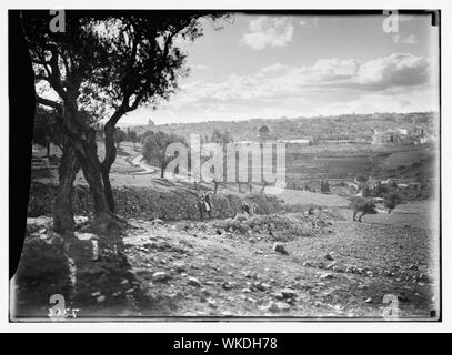 Jerusalem von den Pisten von Olivet (Kamel, die den Hügel) Stockfoto