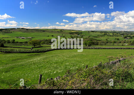 Blick über den Fluss Nidd Tal in der Nähe von Summerbridge Dorf, Nidderdale, Harrogate, North Yorkshire, England. Stockfoto