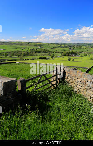 Blick über den Fluss Nidd Tal in der Nähe von Summerbridge Dorf, Nidderdale, Harrogate, North Yorkshire, England. Stockfoto