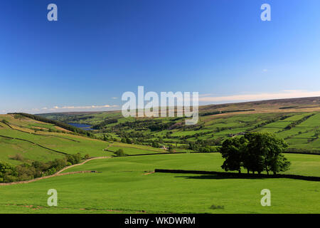 Sommer Blick durch Nidderdale ANOB, North Yorkshire, England. Stockfoto