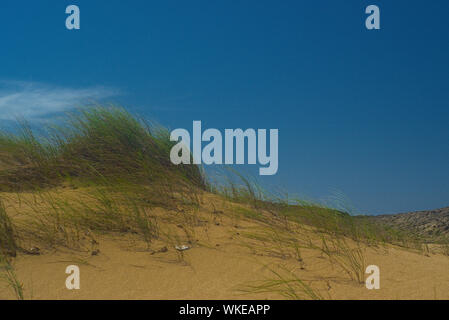 Der Strand von Barceloneta Stockfoto