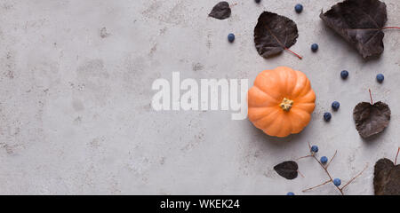 Kürbis mit dunklen Laub auf den Hintergrund für Halloween Stockfoto