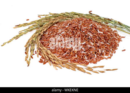 Reis oder Riceberry auf weißem Hintergrund Stockfoto