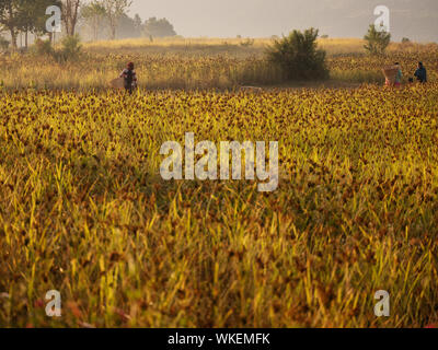 Nepal fine art Portraits Stockfoto