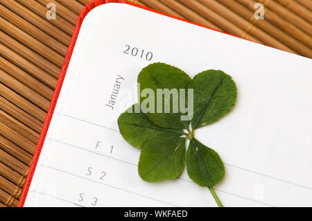 5 Leaf Clover und für das Neue Jahr. Januar 2010. Stockfoto