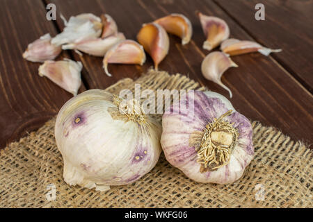 Gruppe von zwei ganze Menge Stücke der organischen Weißer Knoblauch allium sativum auf natürliche Sack auf braunem Holz Stockfoto