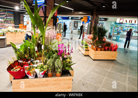 Kiew, Ukraine - 4. September 2019: Silpo Supermarkt. Blumen auf Speichern. Stockfoto