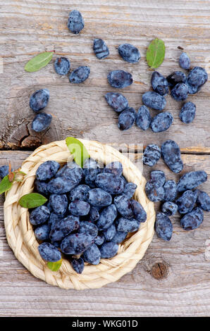 Frische reife Geißblatt Beeren in Wicker Schüssel auf rustikalen Holzmöbeln Hintergrund. Ansicht von oben Stockfoto