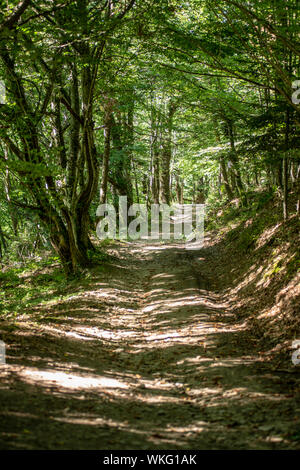 Balade autour de St Genis l'Argentière Stockfoto