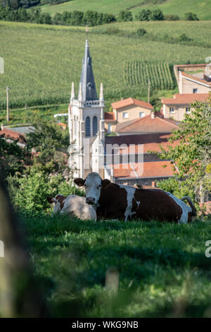 Balade autour de St Genis l'Argentière Stockfoto