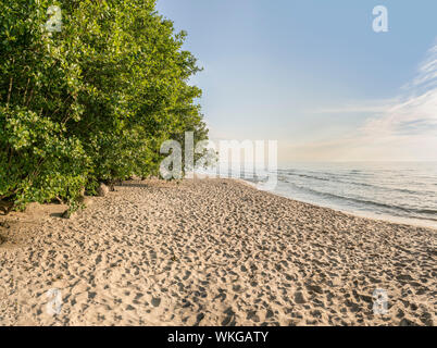 Leeren, weißen Sand Strand im Sommer, in der Nähe des Nationalpark Stenshuvud, Osterlen, Skane, Schweden, Skandinavien. Stockfoto