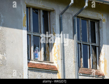 Neustrelitz, Deutschland. 25 Aug, 2019. Seit Jahrzehnten leer stehende Gebäude der ehemaligen Landesirrenanstalt am Domjüch. Die abgelegenen Gegend am Domjüchsee war bis 1945 eine regionale Irrenanstalt mit acht Gebäude, dann einer russischen Kaserne, leer seit 1993 und wird heute von der Vereinigung für die Erhaltung der Domjüch und für verschiedene Veranstaltungen genutzt. Credit: Jens Büttner/dpa-Zentralbild/ZB/dpa/Alamy leben Nachrichten Stockfoto