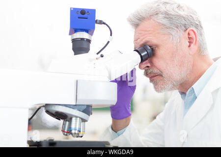 Leitender Wissenschaftler Mikroskopierens im Labor. Stockfoto