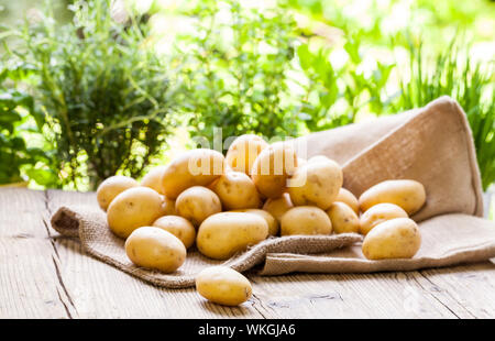 Farm Fresh baby Kartoffeln auf einem hessischen Sack auf einem rustikalen Holztisch an Farmers Market angezeigt, eine gesunde, nahrhafte Wurzeln beliebt in Vegeta Stockfoto