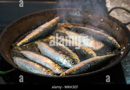 Sardinen oder Sardellen in der Pfanne. Sardinen typische in Spanien. Auf der Pfannen gekocht. Spanisch Pilchards kochen, 2019. Stockfoto