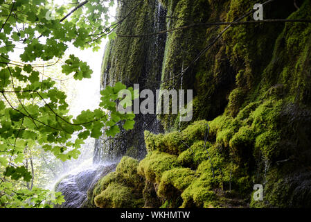 Grande Cascade oder Wasserfall & Moss-Covered Felsen im Musée Promenade Garten und öffentlichen Park Digne-les-Bains Alpes-de-Haute-Provence Provence Frankreich Stockfoto