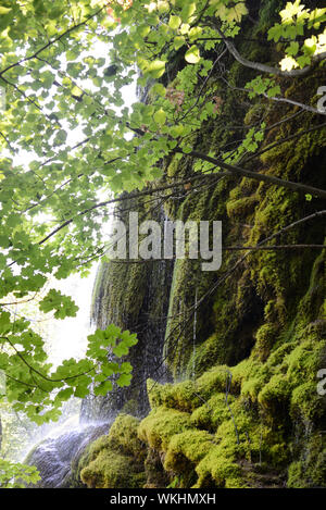 Grande Cascade oder Wasserfall & Moss-Covered Felsen im Musée Promenade Garten und öffentlichen Park Digne-les-Bains Alpes-de-Haute-Provence Provence Frankreich Stockfoto