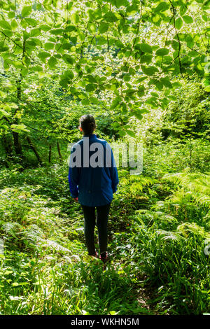 Yoku Shinrin, (Wald Baden). Frau gehen auf Wanderweg in Wald, Holz. Stockfoto