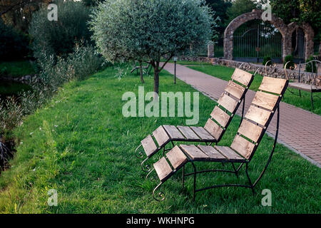 Zone Rest. Hölzerne Stühle stehen auf der Wiese am See, mit Blick auf den See. Weißrussland Stockfoto