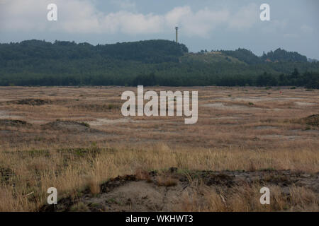 Polen, BLEDOW, 14. JULI 2019: Bledow Wüste (Pustynia Bledowska) Fläche von Sands auf der Schlesischen Hochland in der Woiwodschaft Kleinpolen Stockfoto