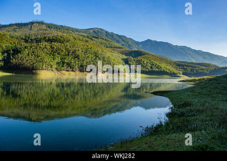 Misty Morning shot von Mattupetty Dam, Munnar, Kerala Stockfoto