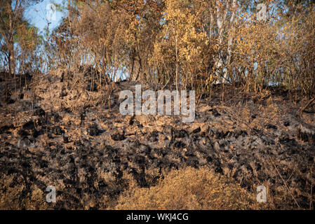 Bilder der Brände in Felder und die natürliche Vegetation im Süden Brasiliens. Brände auf landwirtschaftlichen Flächen in Brasilien, Uruguay grenzt. Brände verursacht durch Stockfoto