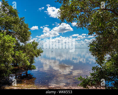 Weiße Wolke Reflexionen in Sarasota Bucht von Longboat Key im Südwesten Florida Stockfoto