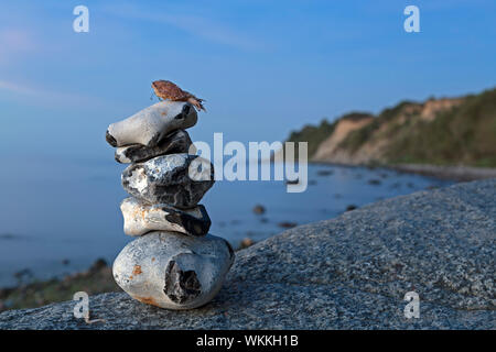 Cairn neben der Ostsee in der Nähe von Steinbeck, Mecklenburg-Vorpommern, Deutschland Stockfoto