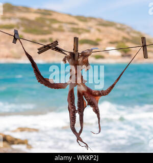 Oktopus auf Sonne trocknen. Diese Methode der Trocknung ist eine, die für Jahrhunderte verwendet worden ist. Besser trocken Oktopus zum Grillen. Kreta, Griechenland. Stockfoto