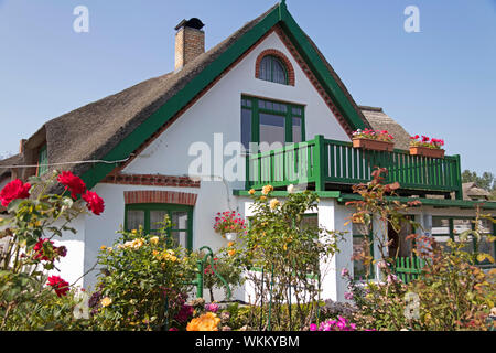 Reetgedeckte Haus, Ahrenshoop, Mecklenburg-Vorpommern, Deutschland Stockfoto