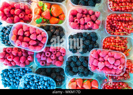 Beeren in Kisten. Stockfoto