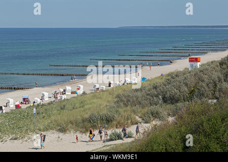 Strand, Ahrenshoop, Mecklenburg-Vorpommern, Deutschland Stockfoto