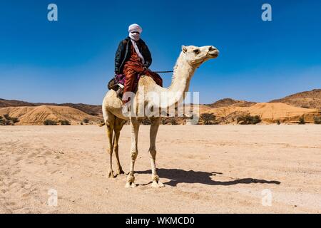 Tuareg auf dem Arabian camel, in der Nähe von Tamanrasset, Algerien Stockfoto