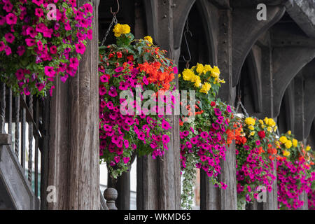 Blumen hängende Körbe auf dem Alten Markt. 17. jahrhundert Holz gerahmten historischen Gebäude, Ledbury Herefordshire. England Stockfoto