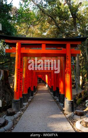 Fushimi Inari Taisha, Shinto Schrein, Weg durch Hunderte von Roten traditionelle Torii Tore, Fushimi Inari-taisha Okusha Hohaisho, Kyoto, Japan Stockfoto