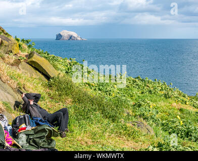 Craigleith Island, Firth of Forth, East Lothian, Schottland, Vereinigtes Königreich, September 2019. Eine Gruppe von Freiwilligen verbringt den Tag auf der unbewohnten Insel vor der Küste von Nord-Berwick und schneidet Baummallow, eine invasive, nicht-einheimische Pflanzenart, die verhindert, Höhlen zu schaffen, um sich zu brüten. Das Projekt wird vom Scottish Seabird Centre organisiert, wo Freiwillige Baummalbe schneiden, um sie auszurotten. Ein älterer Freiwilliger ruht sich in der Sonne aus Stockfoto