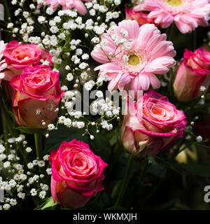 Rosen, Gerbera und Gypsophila in einem Blumenarrangement kombiniert. 1 von 6 Nahaufnahme und Ernte. Stockfoto