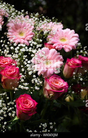 Rosen, Gerbera und Gypsophila in einem Blumenarrangement kombiniert. 2 von 6 Nahaufnahme und Ernte. Stockfoto