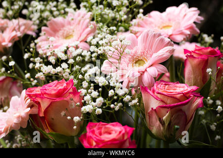 Rosen, Gerbera und Gypsophila in einem Blumenarrangement kombiniert. 3. Stockfoto