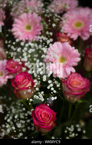 Rosen, Gerbera und Gypsophila in einem Blumenarrangement kombiniert. 5. Stockfoto